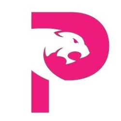 The Panther Group